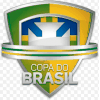 Brazilski kup