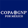 Copa GNP Por Mexico