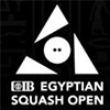 Egyptian Open