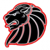 Braunschweig Lions