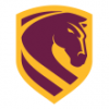 Brisbane Broncos (נ)