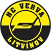 Litvinov U20