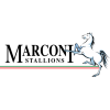 Marconi Stallions
