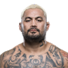 Mark Hunt
