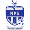 Ngezi Platinum FC