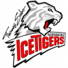 Nurnberg Ice Tigers