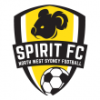 NWS Spirit