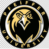 Pfeiffer Falcons