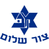 M. Tzur Shalom