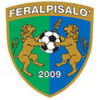 FeralpiSalo