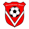 Harkemase Boys