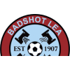 Badshot