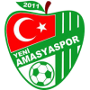 Yeni Amasyaspor