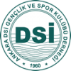 Ankara D.S.I.