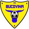 Bucovina Radauti